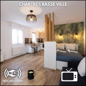 Chartres - Le Saint Pierre